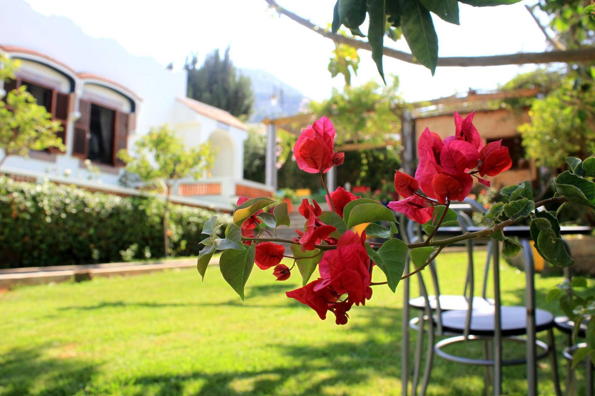 Riad Dar Achaach Tétouan Exterior foto